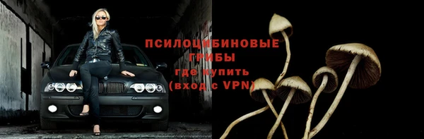 герыч Козельск