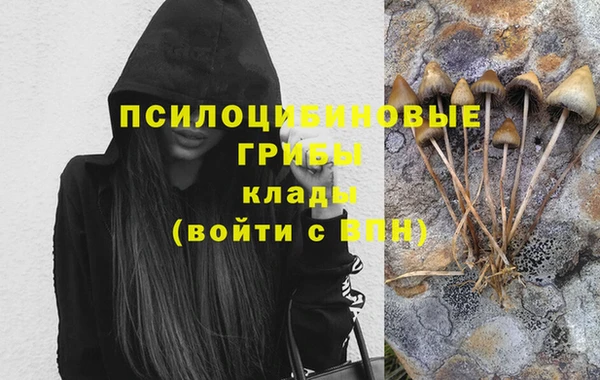 ешки Бердск