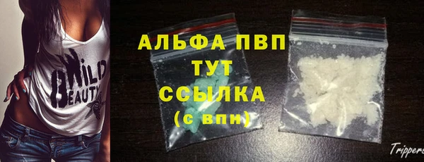 крисы Киренск