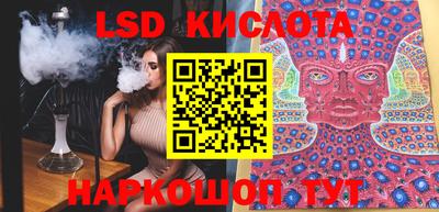 стаф Гай