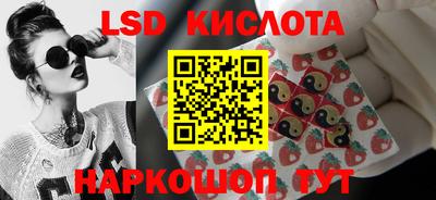 стаф Гай
