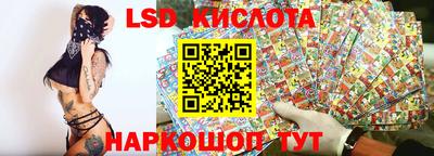 стаф Гай