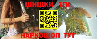 стаф Гай
