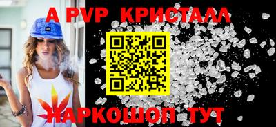 стаф Гай