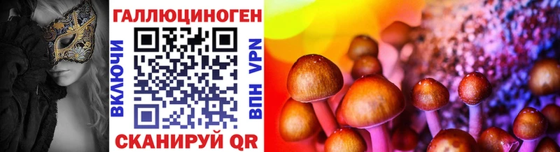 Псилоцибиновые грибы GOLDEN TEACHER  купить   Кольчугино 