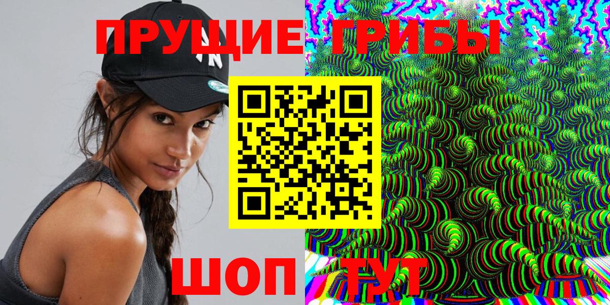 Псилоцибиновые грибы Cubensis  Кольчугино 