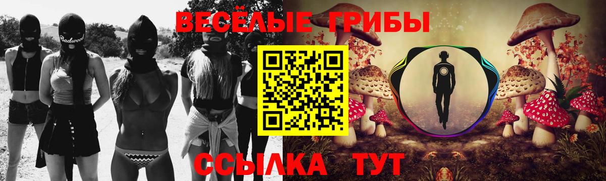 Псилоцибиновые грибы Magic Shrooms Кольчугино